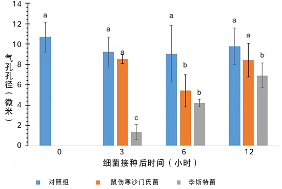 添加不同菌种培育后的生菜气孔大小（翻译 贺紫宸）。图片来源：doi： 10.3389/fmicb.2020.00500