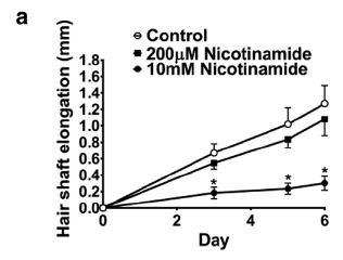 使用了高浓度烟酰胺的毛干生长减速