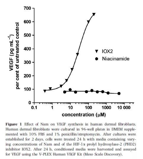 无论多大浓度的烟酰胺也不改善血管内皮生长因子