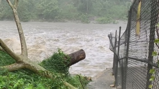 受热带风暴“伊萨亚斯”影响，波多黎各多地遭洪灾。