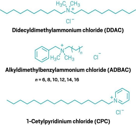 三种常见季铵盐的分子式。图片来源：C&EN