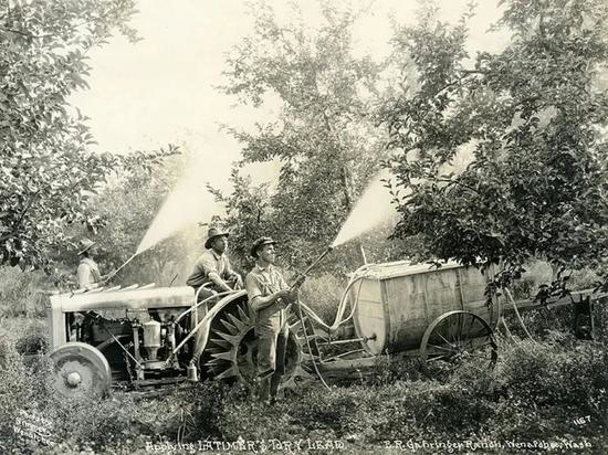 1925年 华盛顿 人们通过直接往苹果树上喷干铅的方式防治害虫