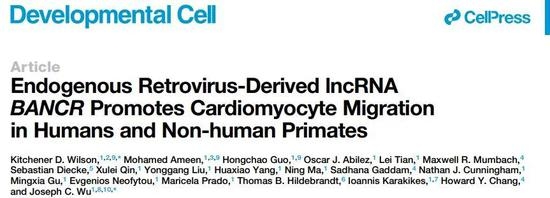 研究发表在《细胞》旗下子刊Developmental Cell上