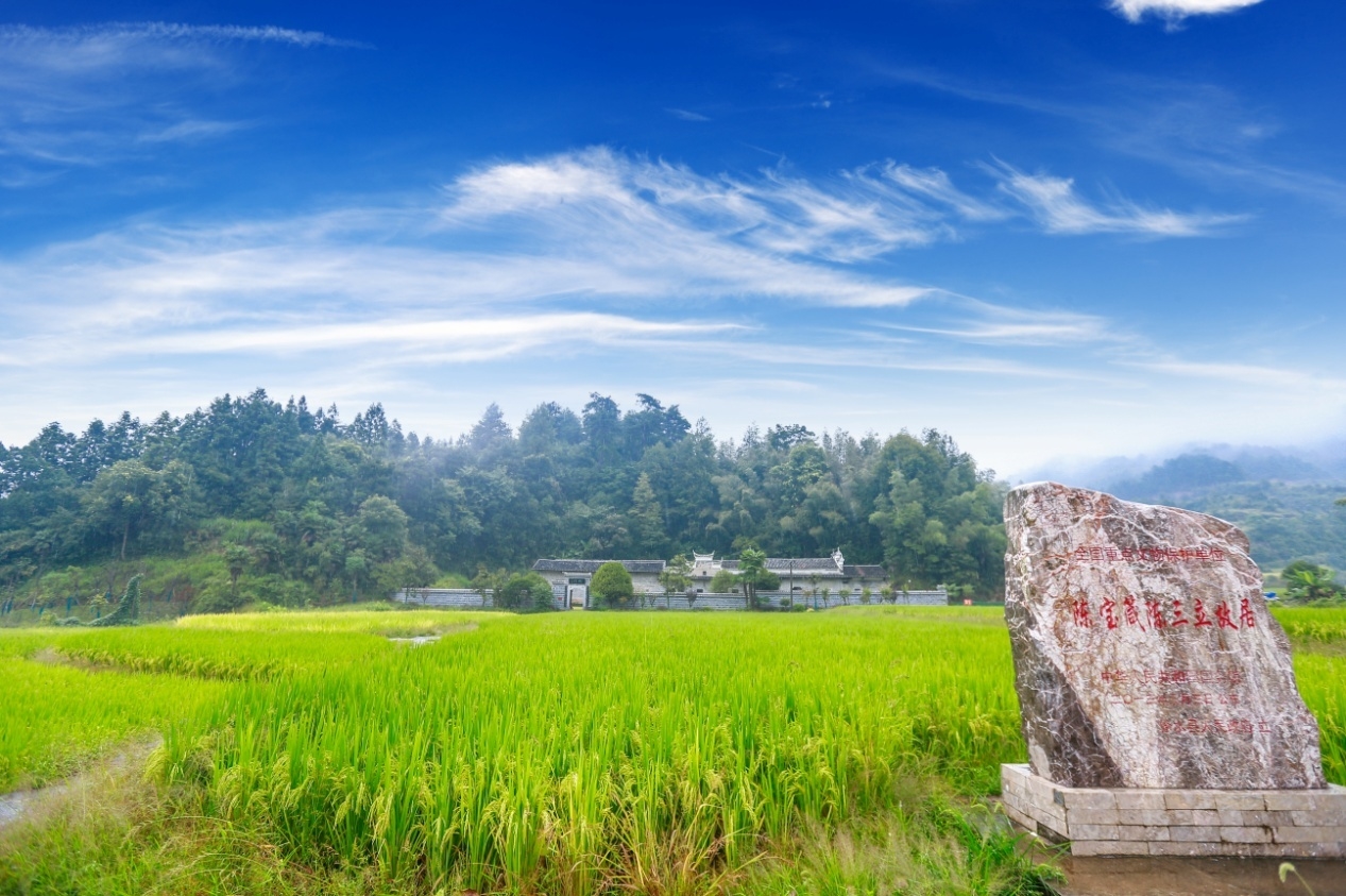 陈家大屋远眺（修缮后）