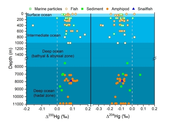 AI科学新闻|地球海洋最深处是否有环境污染？科学家有最新发现