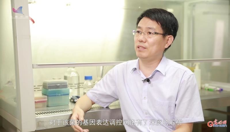 【基因智慧】重构自然界天然氮肥厂 合成生物技术有何妙招？