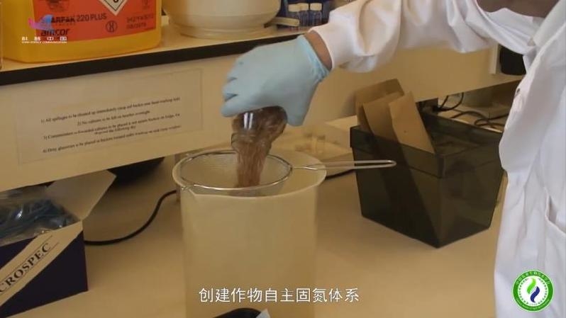 【基因智慧】重构自然界天然氮肥厂 合成生物技术有何妙招？