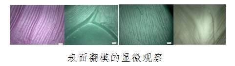 马首铜像今天入藏圆明园，它的失蜡法铸造工艺竟有这么多讲究