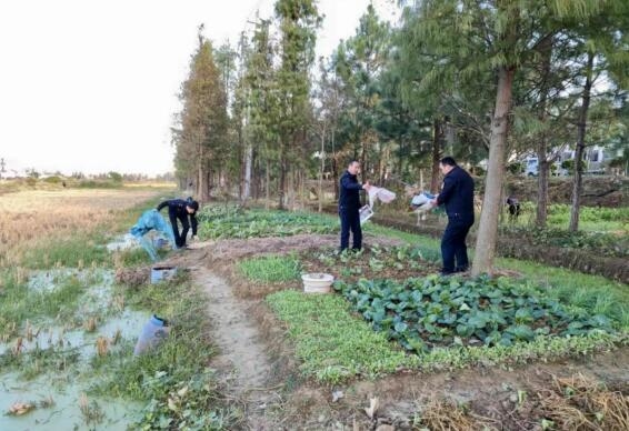 南昌县塘南镇：部门合力整治人居环境 多方共绘美丽乡村画卷